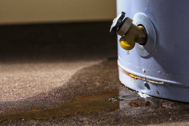 Best Sewage cleanup and water damage restoration  in Micco, FL