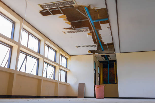 Best Flooded house restoration  in Micco, FL
