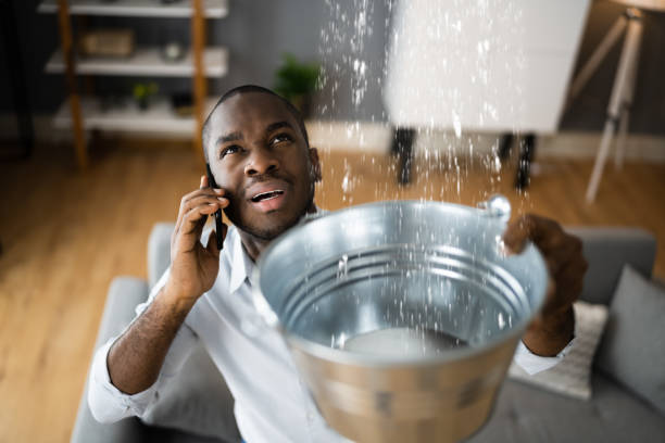 Best Flood restoration services  in Micco, FL