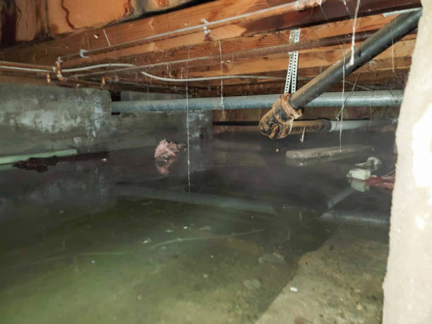 Best Flooded house restoration  in Micco, FL