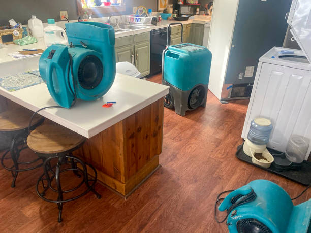 Best 24/7 water damage repair  in Micco, FL