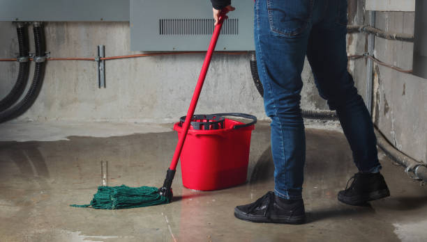Best Ceiling water damage repair  in Micco, FL