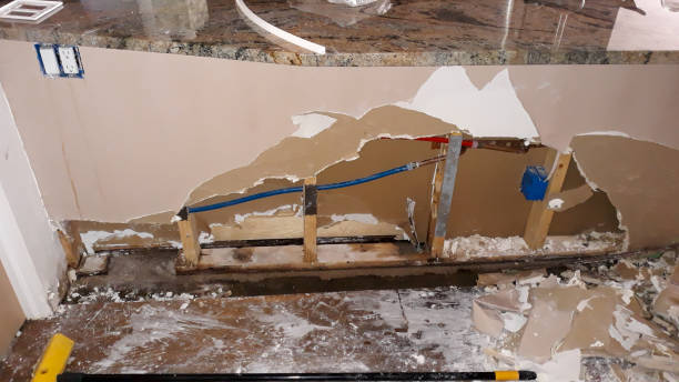 Best Local water damage restoration  in Micco, FL