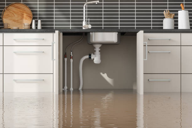 Best Commercial water damage restoration  in Micco, FL