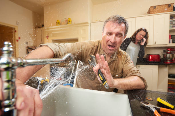 Best Water damage cleanup near me  in Micco, FL